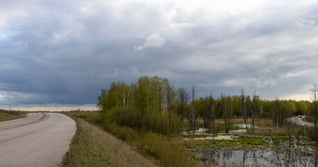 Abandoned highway, spoiled nature, swampy roadside area, environmental damage due to the construction of the highway.