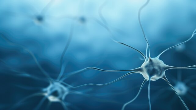 Neurons in the brain, synaptic transmission