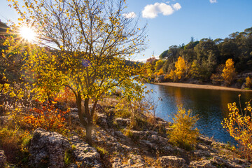 Landscape of trees in autumn against the light. Photography taken near Gardon river in France
