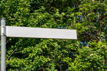 Blank street sign with trees in the background