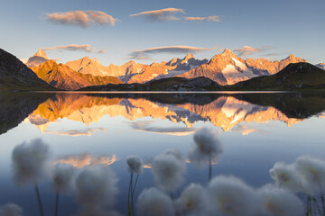 Summer landscape view of a mountain range reflecting in a lake at sunrise, with cottongrass flowers in the foreground