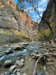 Fototapeta premium Zion National Park, The Narrows, America