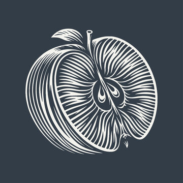Sliced apple. Vintage woodcut style vector illustration on dark background.