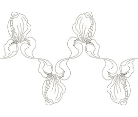 Pattern of iris flowers in a single continuous line style. Irises. Stock vector illustration isolated on white background