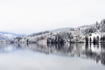 Titisee lake in the Black Forest in winter time