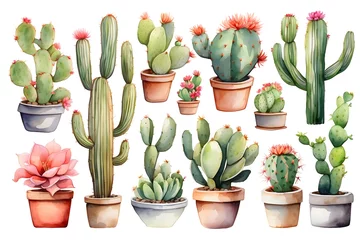 Foto auf Alu-Dibond Kaktus im Topf Cactus varieties made with watercolor on white background