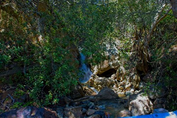 Photos Of Landscapes Coast and Forests