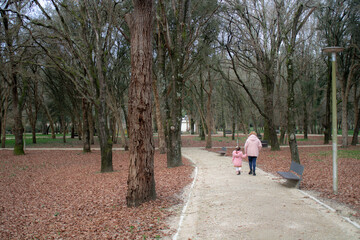 Fototapeta na wymiar couple walking in the park, leafs of ground