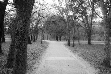 path in the park, back nad white, dark