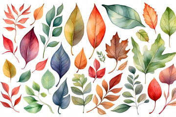 A pattern of watercolor drawings of leaf types pattern on white background