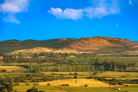 Crop fields and farms at Region del Maule in southern Chile