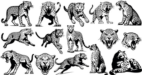 Handdrawn cheetah drawing. Cheetah run, wildlife animals great set collection clip art Silhouette , Black vector illustration on white background. - obrazy, fototapety, plakaty