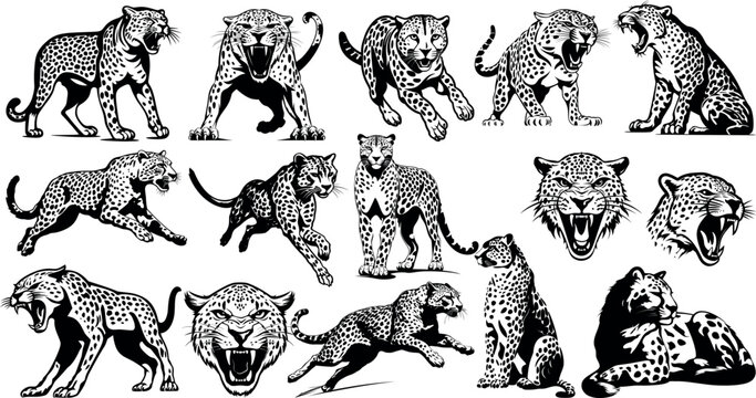 Running leopard silhouette on grey background Vector Image