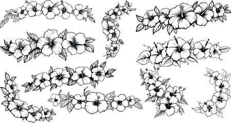 Hibiscus flower corner drawing. great set collection clip art Silhouette, Black vector illustration on white background.