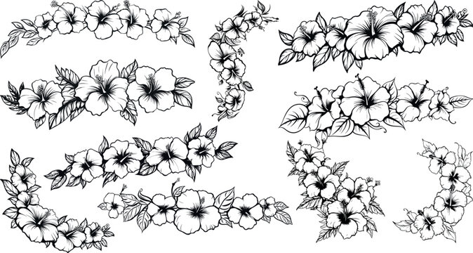Fototapeta Hibiscus flower corner drawing. great set collection clip art Silhouette, Black vector illustration on white background.