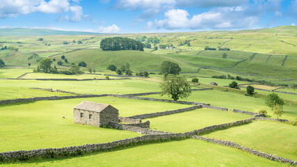 Cotterdale, Yorkshire Dales National Park, York, Uk - A view of an old stone barn, sheep and the rolling landscape of the Yorkshire Dales.