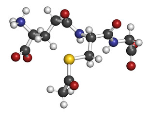 S-Acetyl L-Glutathione food supplement molecule. 3D rendering.