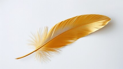 Golden feather on a white background