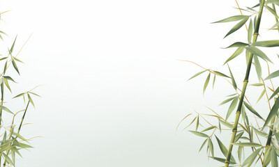 Green bamboo stems with leaves on white background. - obrazy, fototapety, plakaty