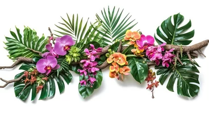 Foto op Canvas Tropical vibes plant bush floral arrangement with tropical leaves Monstera and fern and Vanda orchids tropical flower decor on tree branch liana vine plant isolated on white background © buraratn