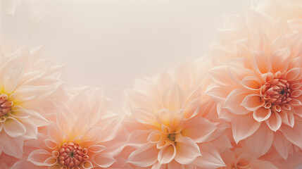 Background of pink dahlias, copy space, floral card