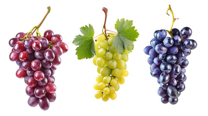 Grapes isolated on transparent background. 