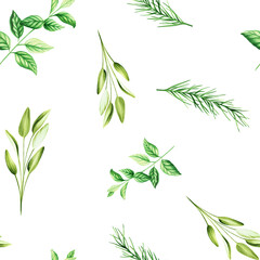 Watercolor seamless pattern with aromatic herbs. Illustrations of fresh rosemary, mint, sage isolated on background. Detail of beauty products and botany set, cosmetology and medicine. For d - obrazy, fototapety, plakaty