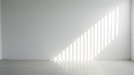 Blank Canvas, Illuminating Whiteness in the Solitude of a Sunlit Chamber
