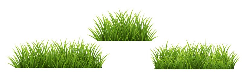 Green Grass Border Isolated White Background