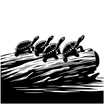 Amazon river turtles basking on a sunlit log, warming their shells Vector Logo Art