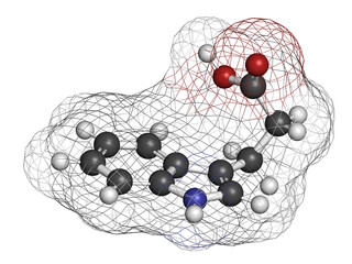 indole-3-propionic acid or IPA molecule. 3D rendering.