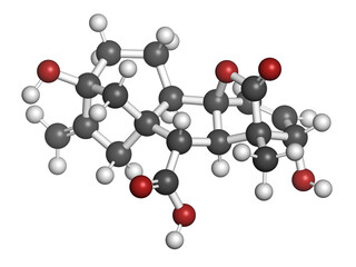 Gibberellic acid (gibberellin A3, GA3) plant hormone molecule. 3D rendering.