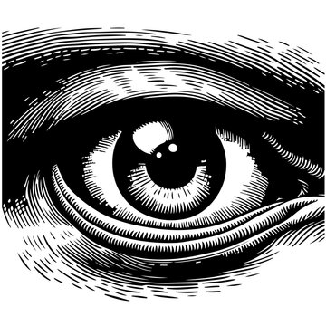 Shark_s eye close up, capturing its predatory gaze Vector Logo Art