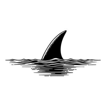 Shark's dorsal fin cutting through calm waters Vector Logo Art