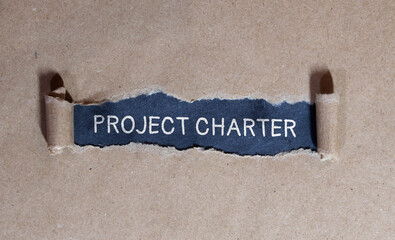 Project Charter on sticky notes isolated on white background