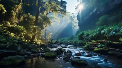 Zelfklevend Fotobehang Enchanted Forest Stream © Pavlo