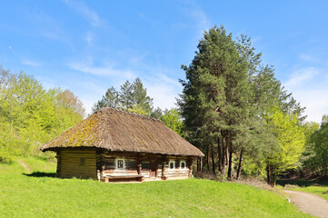 Fototapeta na wymiar Traditional Ukrainian wooden house in Pirogovo, Ukraine
