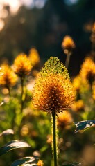 Obraz premium Nature design with bokeh effect