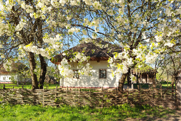 Traditional Ukrainian house from Polissya Region in Pirogovo, Ukraine