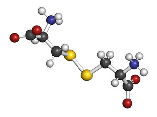 Cystine molecule. Oxidized dimer of the amino acid cysteine. 3D rendering.
