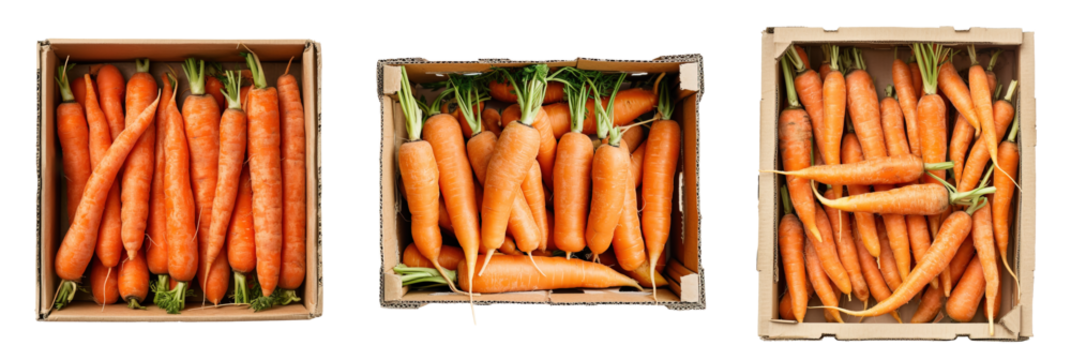 Carrots on cardboard boxes top view collage set. Isolated on white transparent background