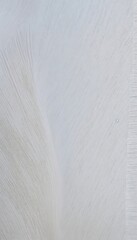 Fototapeta premium Abstract white color canvas wallpaper textures and surface