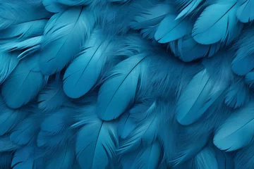 Foto auf Acrylglas Blue Feathers Background, Blue Feathers Pattern, Feathers background, Feathers Wallpaper, bird feathers pattern, AI Generative © Forhadx5
