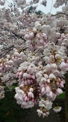 autumn in the forest