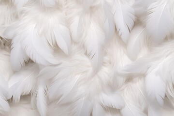 White Soft Feathers Background, White Fluffy feathers pattern, Beautiful feathers background,...
