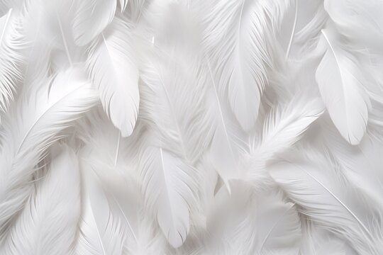 White Soft Feathers Background, White Fluffy feathers pattern, Beautiful feathers background, feathers wallpaper, bird feathers pattern, AI Generative © Forhadx5