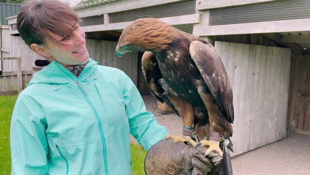 PORTRAIT: Female tourist encountering majestic golden eagle at falconry center. Amazing and memorable educational experience with a wild bird of prey for a young woman travelling around Scotland.