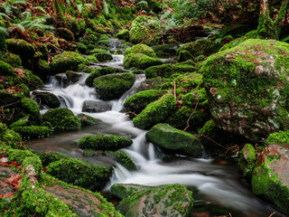 Stunning nature scene with fast flowing water in a stream near Torc waterfall. Killarney, Ireland, ring of Kerry route. Magnificent Irish nature landmark and popular tourist area with easy access.