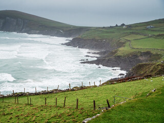 View on stunning coast line with green grass fields, cliff and powerful ocean waves. Slea head...