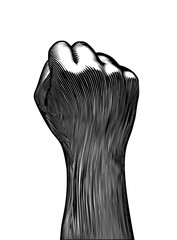 Black engraving back human fist wrist illustration on white BG